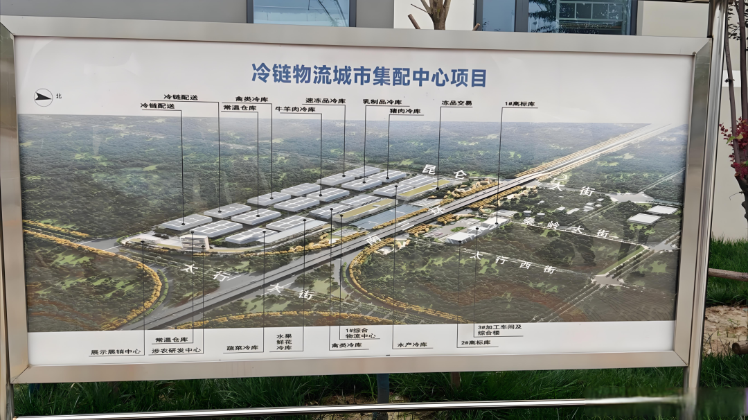 石家庄国家骨干冷链物流基地二期项目计划于2025年9月底全部投入运营
